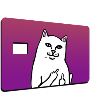 Gato Mostrando los Deditos