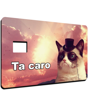 Gato Molesto: Ta caro