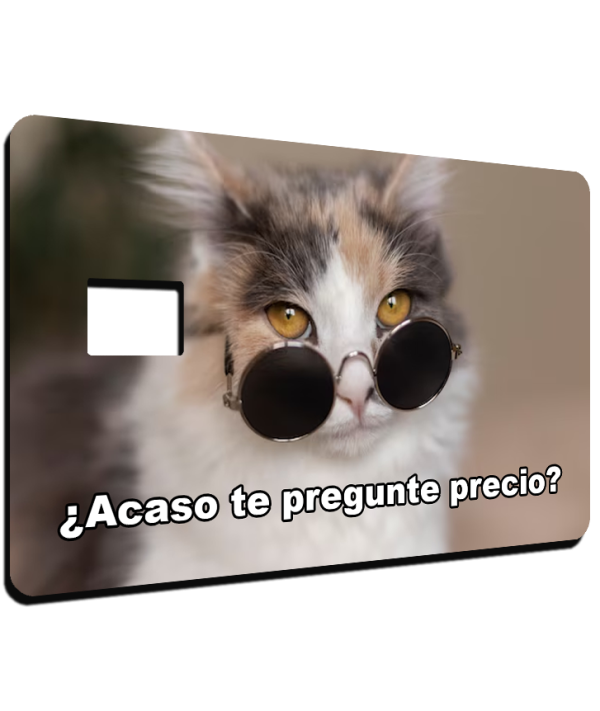 Gato con Plata