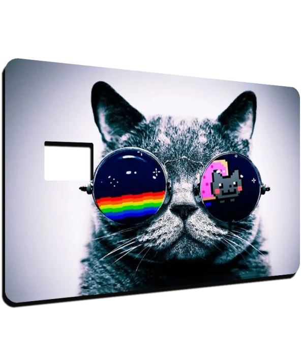 Gato Cool