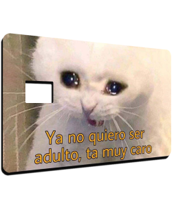 Gato Llorón